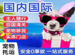 常州航空快运国际宠物托运 【国